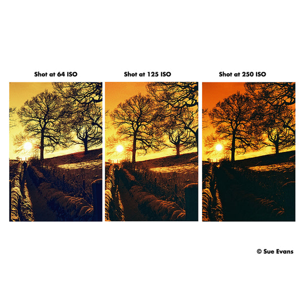 HARMAN RED 125 135-36 Redscale Film