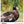 Load image into Gallery viewer, HARMAN Phoenix 200 120