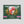Load image into Gallery viewer, OKLAO - COSTA RICA La Minita El conquistador - Medium Dark Roast (Drip Coffee Bag x5)