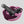 Load image into Gallery viewer, Cura SHIMEKIRI Strap