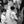 Load image into Gallery viewer, CFP Photowalk - Hit the streets of Sham Shui Po