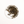Load image into Gallery viewer, 一會金桂