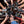Load image into Gallery viewer, CFP Photowalk - Hit the streets of Sham Shui Po