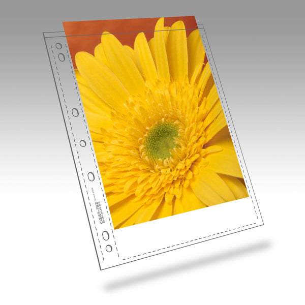 ClearFile 8x10" Negative Sleeves (25 Sheets)